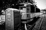 Train 029